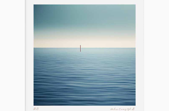 297 Almost Beyond Sight by Andrew Conway-Hyde