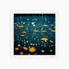313 Floating Embers II by Andrew Conway-Hyde