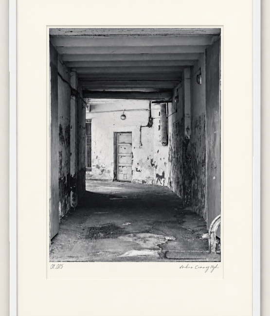 passage to light andrew conway hyde white